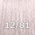12/81