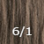 6/1