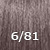 6/81